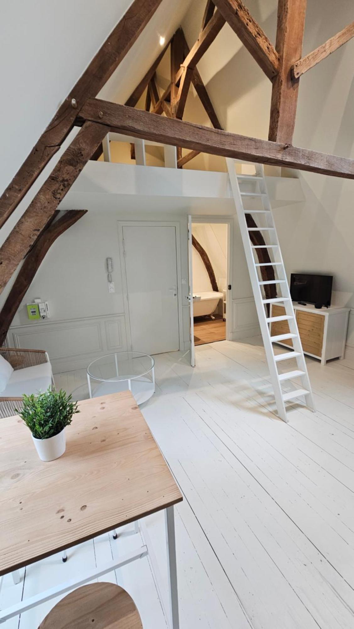 Le Perchoir, Avec Mezzanine Apartment